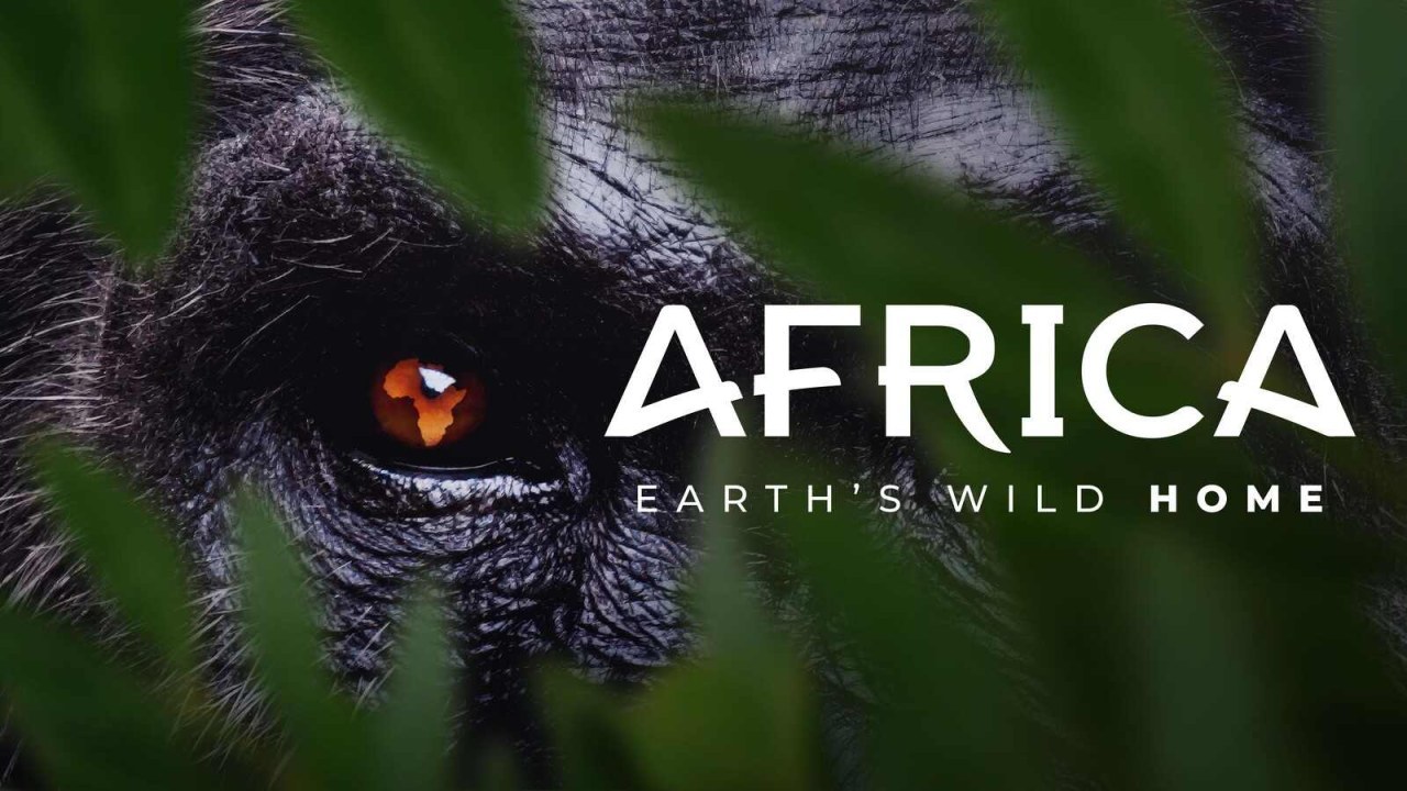 Disney+, il 3 ottobre arriva Africa: Earth’s Wild Home: la nuova docuserie racconta gli ecosistemi più spettacolari del continente