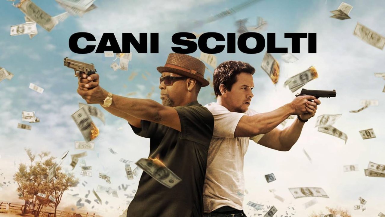 Cani sciolti su Prime Video dal 1° novembre: trama e cast del film